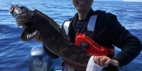 纳奈莫海钓石斑鱼、太平洋鳕鱼。