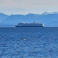 阔别两年，再次看到邮轮在乔治亚海峡穿过