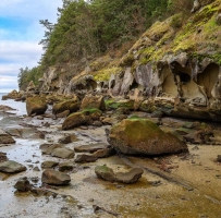 海边的沙岩展示了岁月的侵蚀