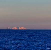 昨天有人在海上看到冰山，是真的吗