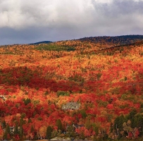 看看Quebec的秋景，好想去