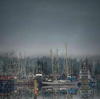 轻雾、海水与帆船组成的一幅水墨画
