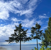 Qualicum Beach