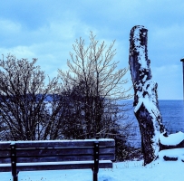 Ladysmith海边雪景