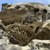 ���µĺۼ�������Ŀ