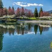 ����������Maffeo Sutton��԰����ɫ̫����