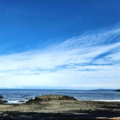 ������ĺ�̲