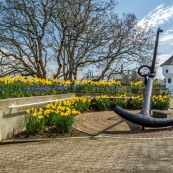 ����nanaimo���������