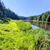 Hemer Provincial Park���С����