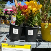 쵽Home Depotȥ
