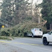 ����Ĵ��̫����