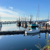 Comex��Marina