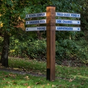 ʱ������