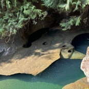 ɭ��������ܺ�