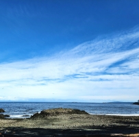 ������ĺ�̲