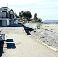 ɹɹ̫����������