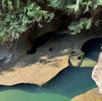 ɭ��������ܺ�