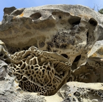 ���µĺۼ�������Ŀ