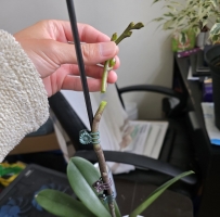 �����ˣ���ô��������һ�¾Ͷ���