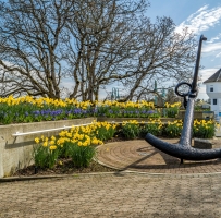 ����nanaimo���������