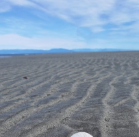 ���������ոպ�