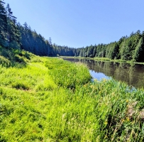 Hemer Provincial Park���С����